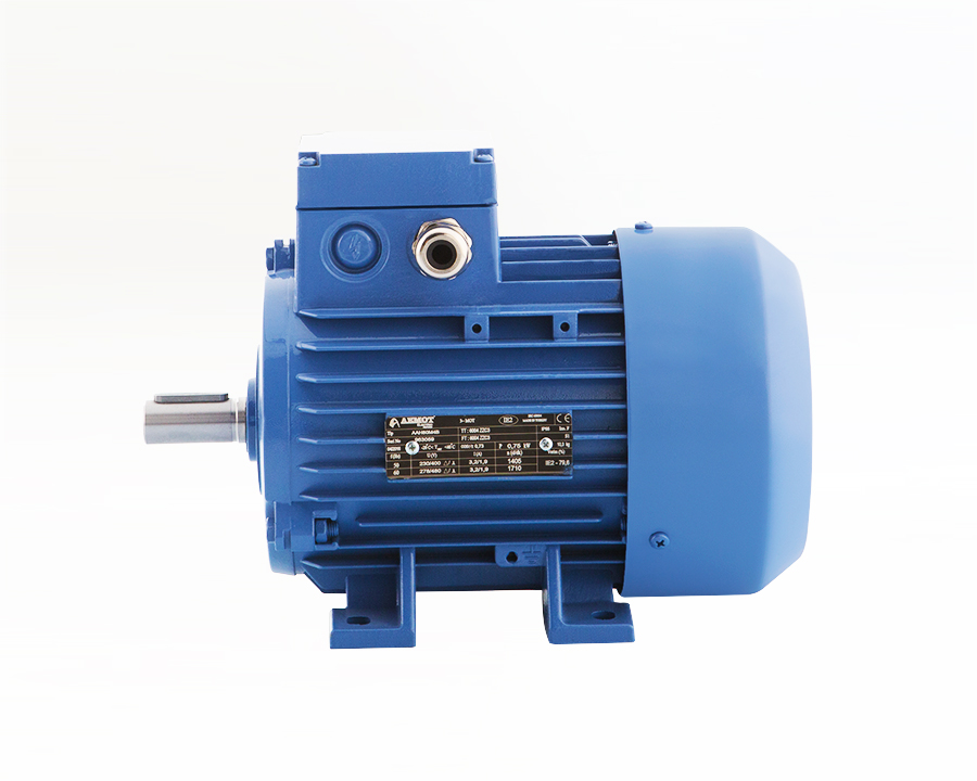 80 Tip Elektrik Motoru